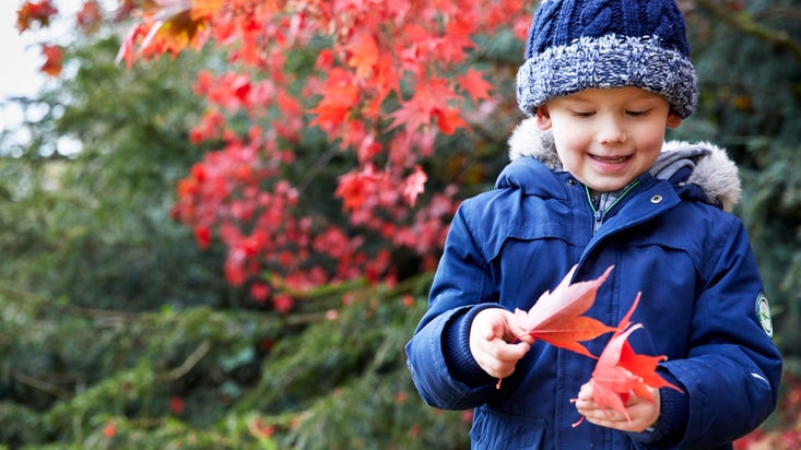 A boy in a blue jacket and striped woolly hat plays with red autumnal leaves
